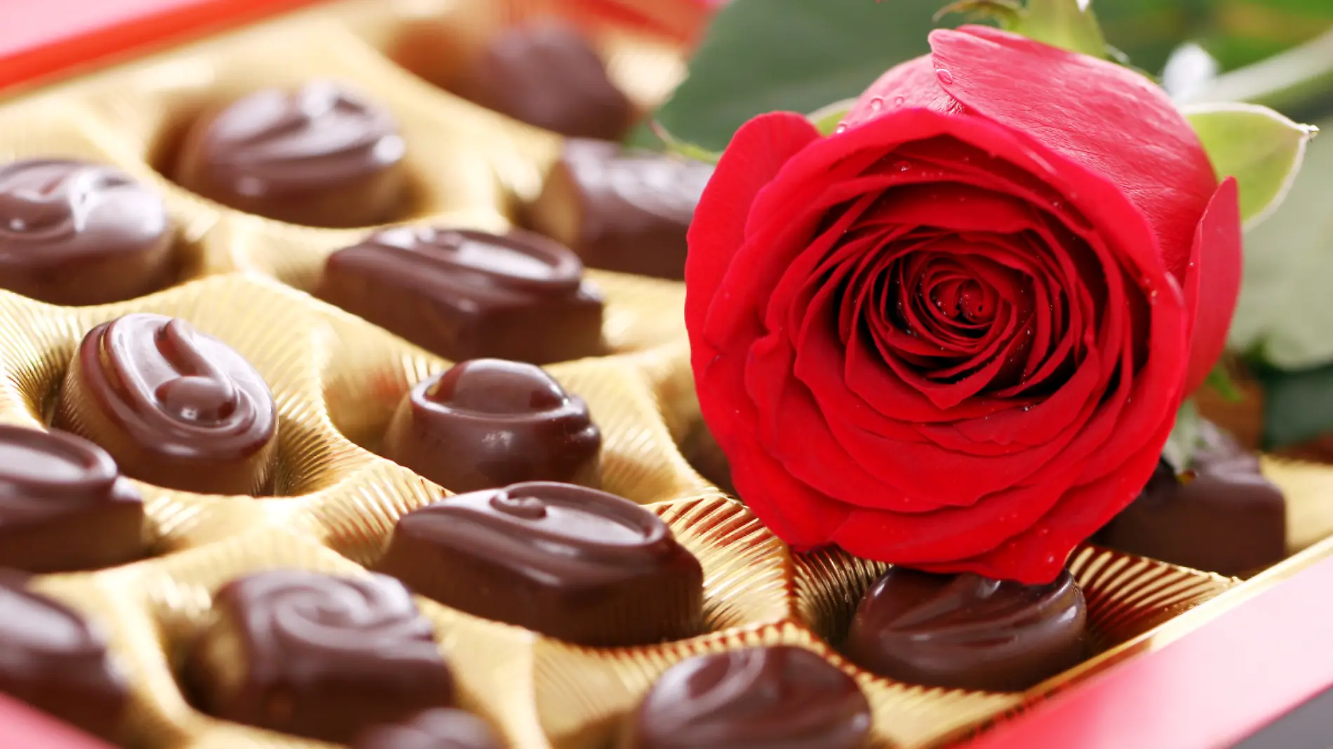 ROSAS Y CHOCOLATES